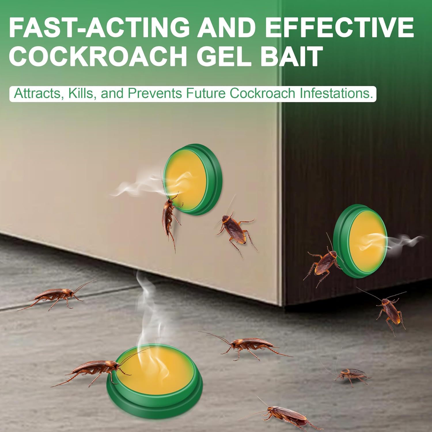 Cockroach gel bait with cockroaches attracted to it on a surface.